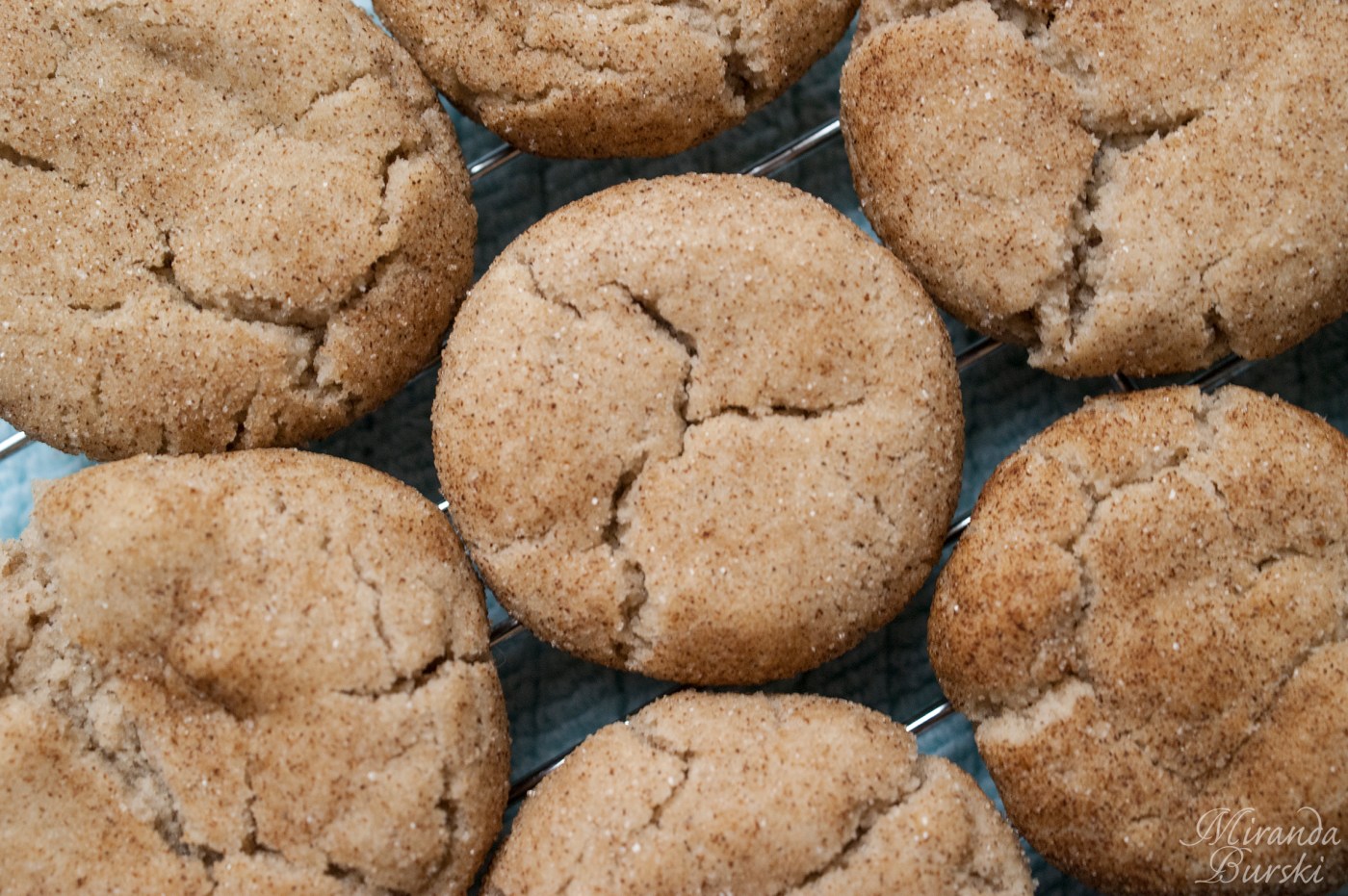 Sally's Baking Addiction's Snickerdoodles