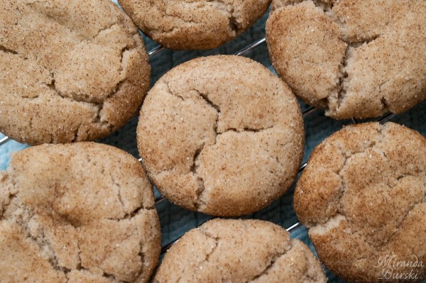 Sally's Baking Addiction's Snickerdoodles