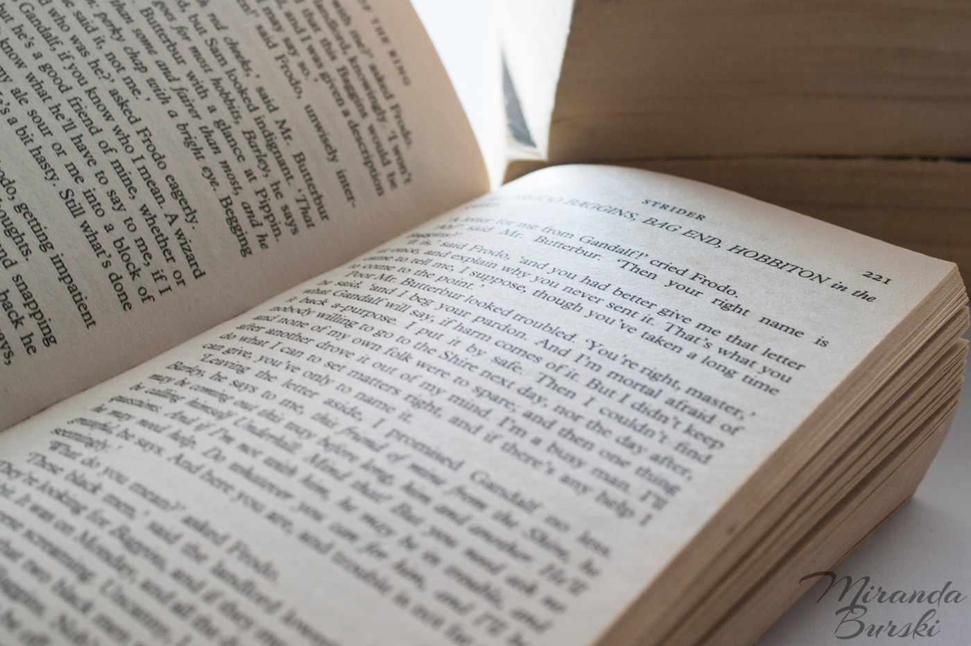 Lord of the Rings - The Fellowship of the Ring, by JRR Tolkien