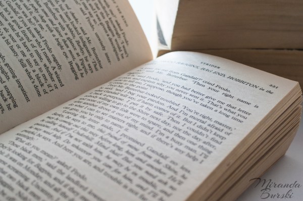 Lord of the Rings - The Fellowship of the Ring, by JRR Tolkien