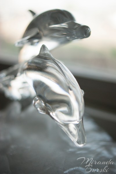 A pair of crystal dolphins