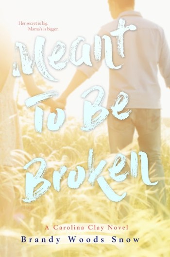 The cover of Meant To Be Broken, by Brandy Woods Snow