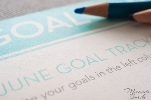 A pre-made goal tracker and two pencil crayons