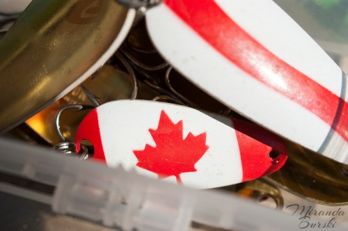 A Canadian fishing lure alongside others