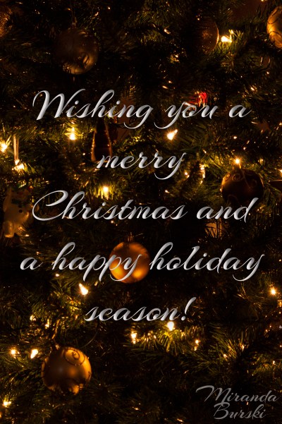 Wishing you a merry Christmas and happy holiday season!