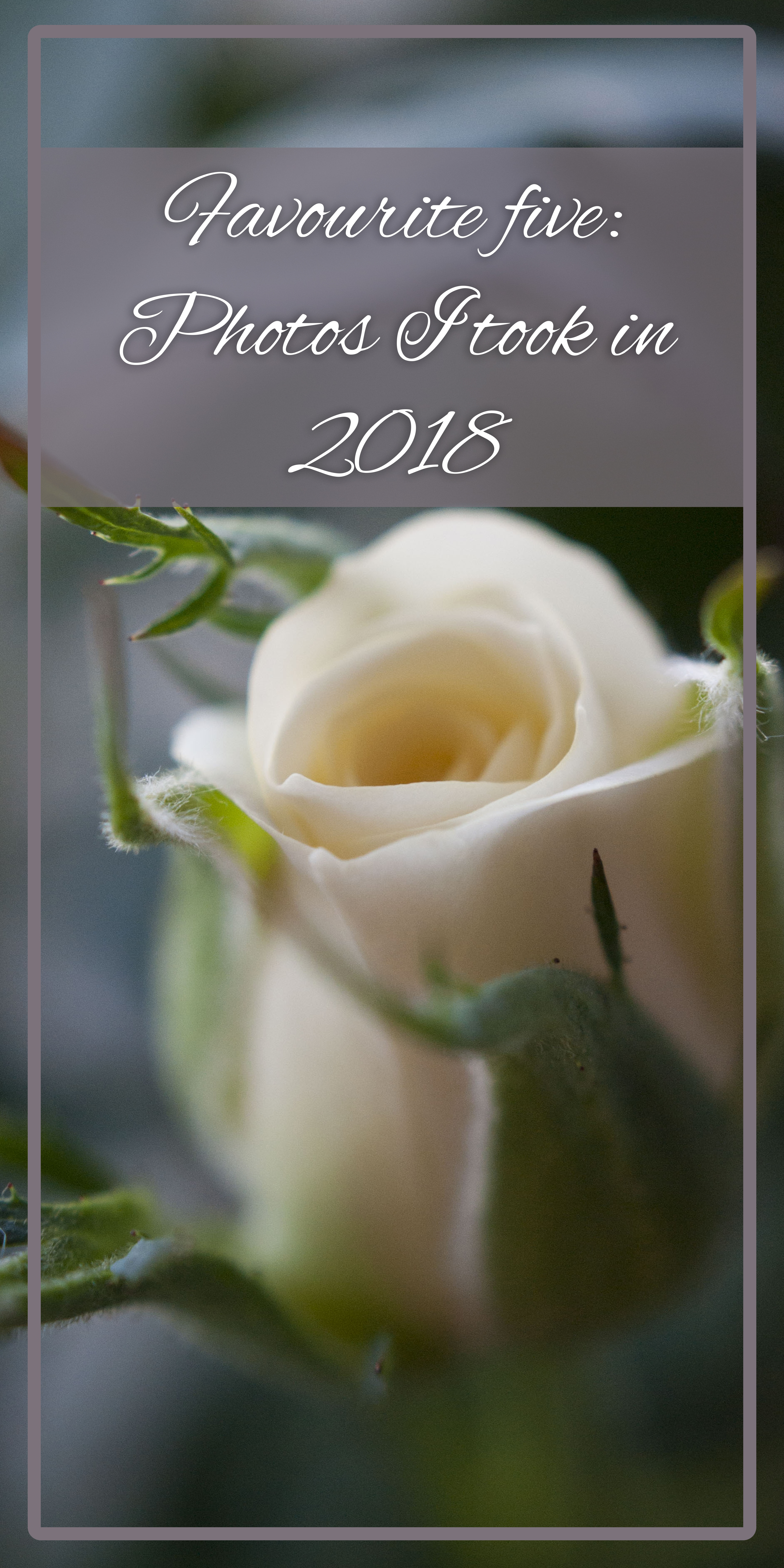 A picture of a rosebud with text overlaid that says "Favourite five: Photos I took in 2018."