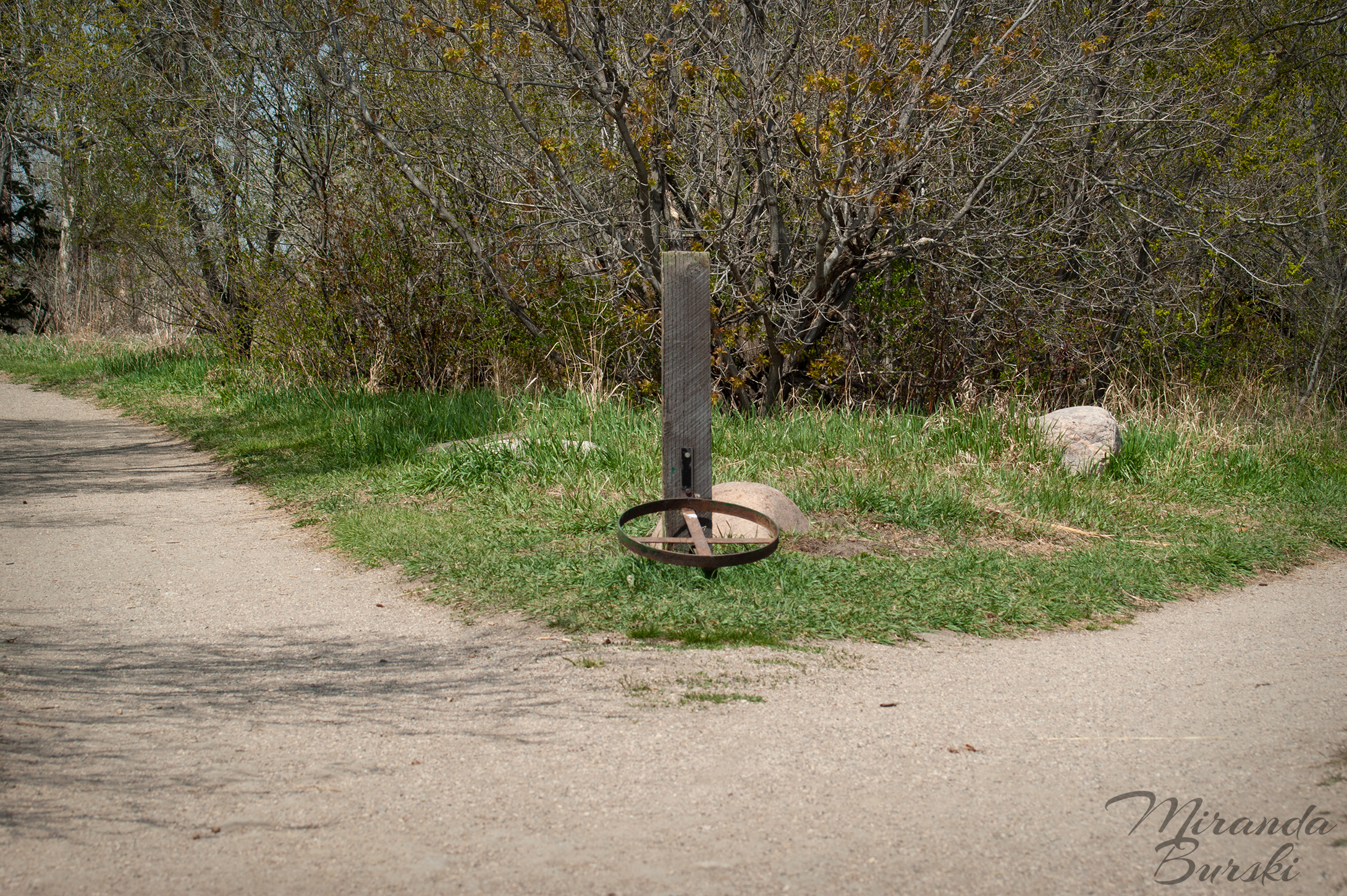A forked gravel path.
