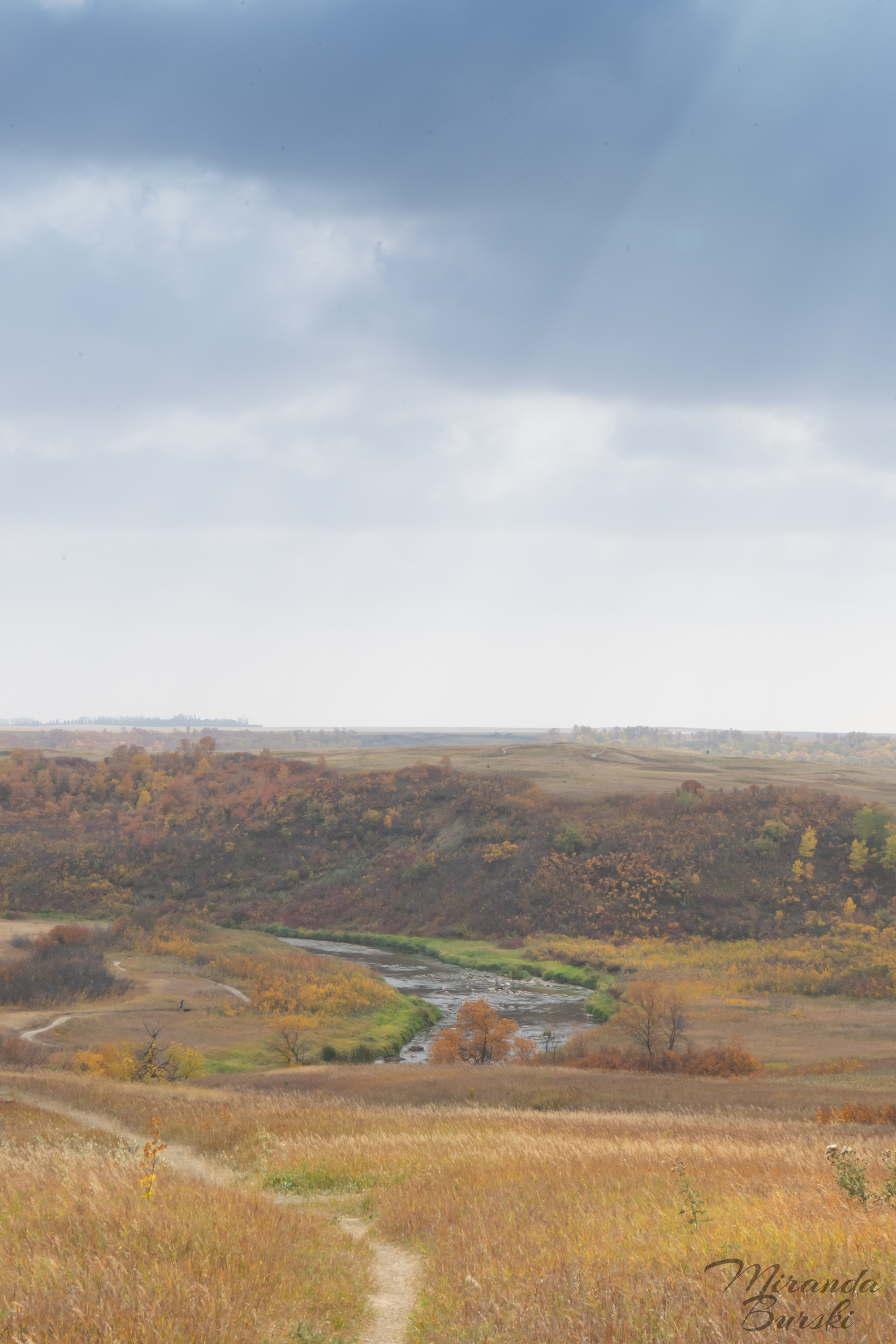 A creek at Wascana Trails.