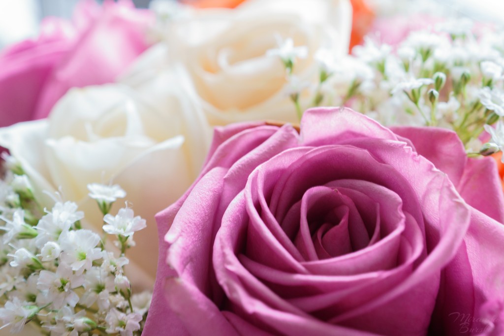 A close-up of roses and other small flowers.